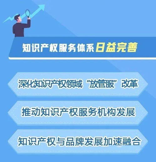 打造亚太地区知识产权中心城市 上海六大举措全速推进知识产权服务