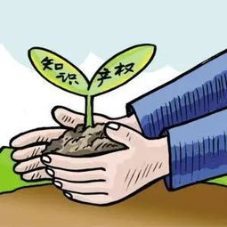 我国知识产权服务企业的经营策略建议